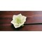 Ceramic Magnolia Flower with Stem High Quality Ceramic Indoor Decor or Gift Idea
